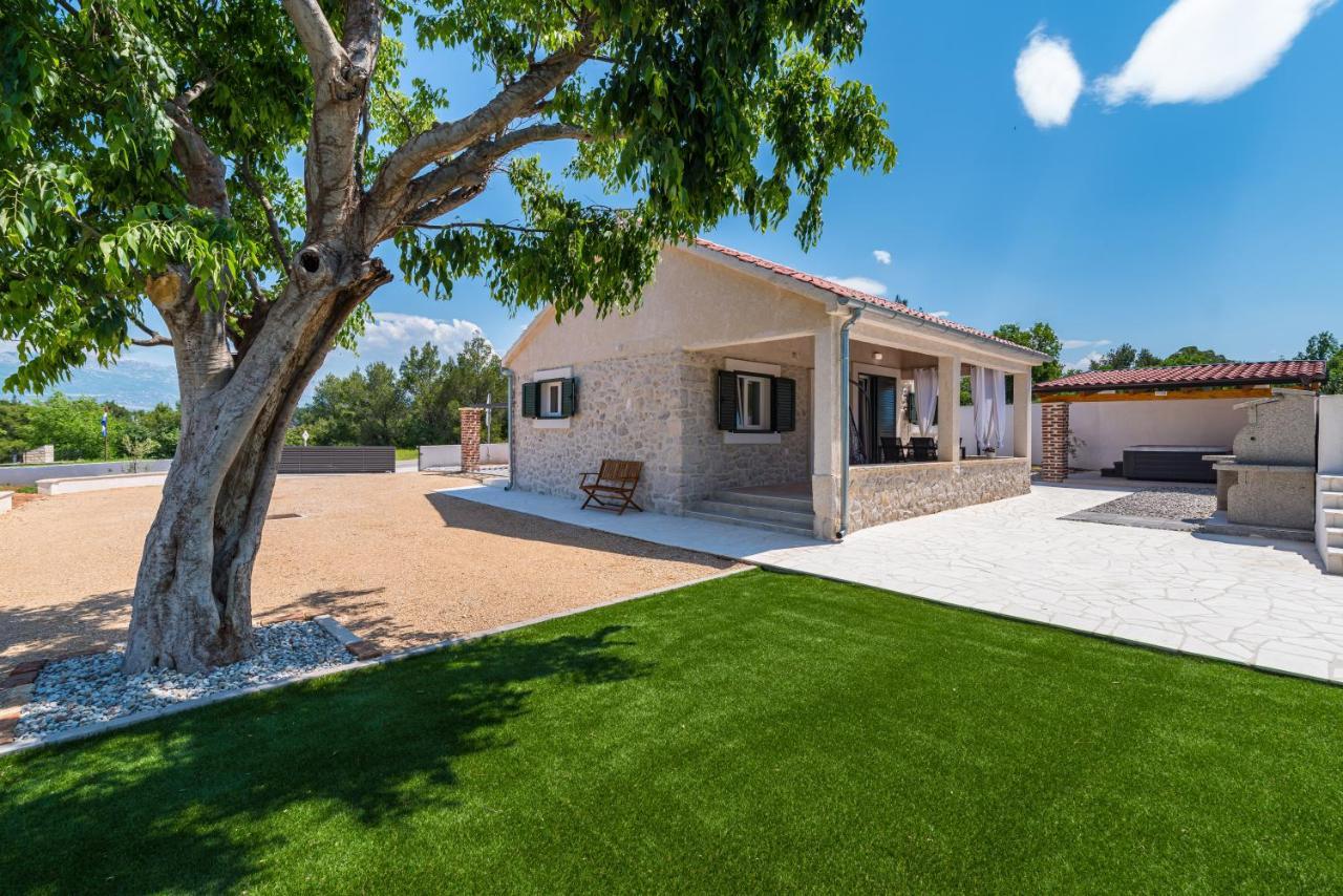 Holiday Home Figurica Novigrad  Dış mekan fotoğraf
